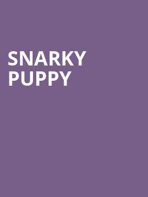 Snarky Puppy, Silva Concert Hall, Eugene
