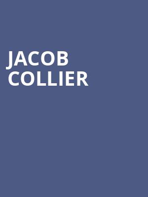 Jacob Collier Poster