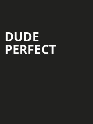 Dude Perfect Poster